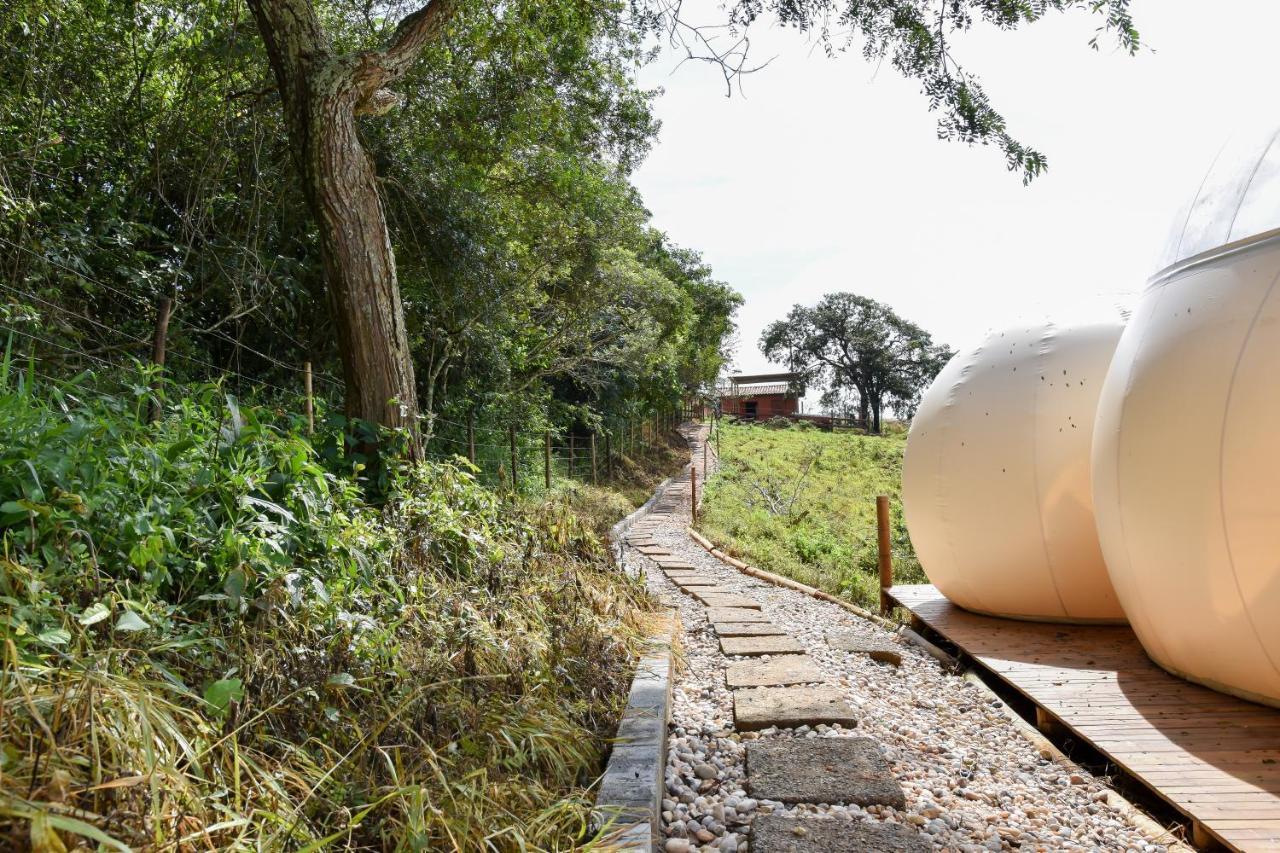 Bubble Pingo Do Mula Serra Da Canastra Sao Roque de Minas Exterior photo